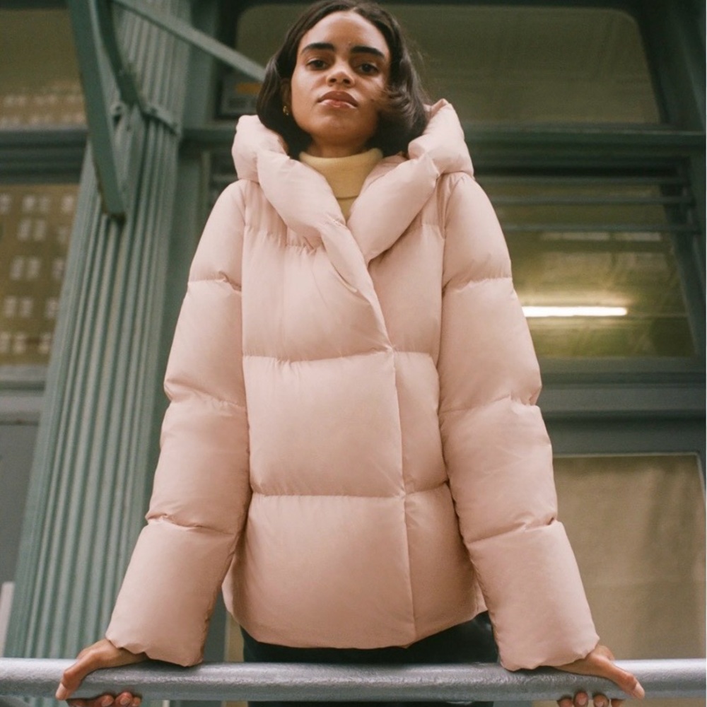 Babaton Duvet Puffer Short Blush Medium Aritzia